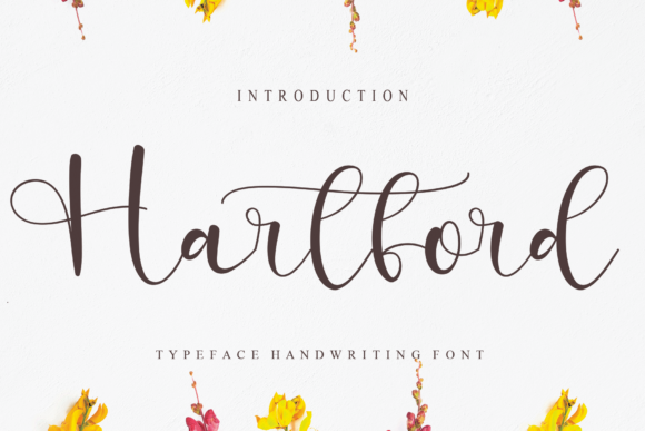 Hartford: A Script That Earns Its Space