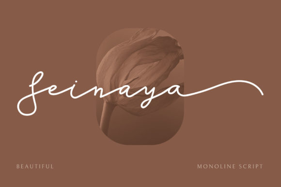 Seinaya: A Script Font That Elevates Your Digital Brand