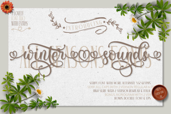 Winter Sounds: A Script Font That Makes Your Campaigns Feel Instantly Cohesive